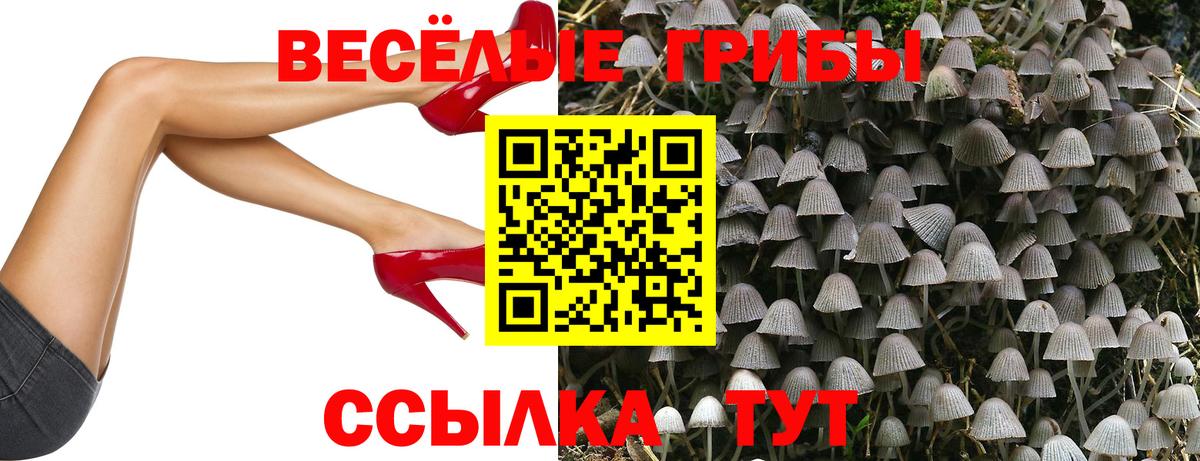 Ростов-на-Дону  Галлюциногенные грибы прущие грибы  Галлюциногенные грибы Cubensis  Вход с VPN 
