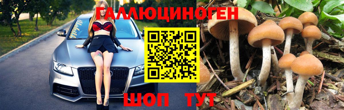 Псилоцибиновые грибы мицелий Ростов-на-Дону